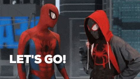 Spider Man GIF by Spider